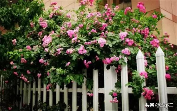 远赴人间盛宴谈笑风生不动情,远赴人间惊鸿宴谈笑风生不动情