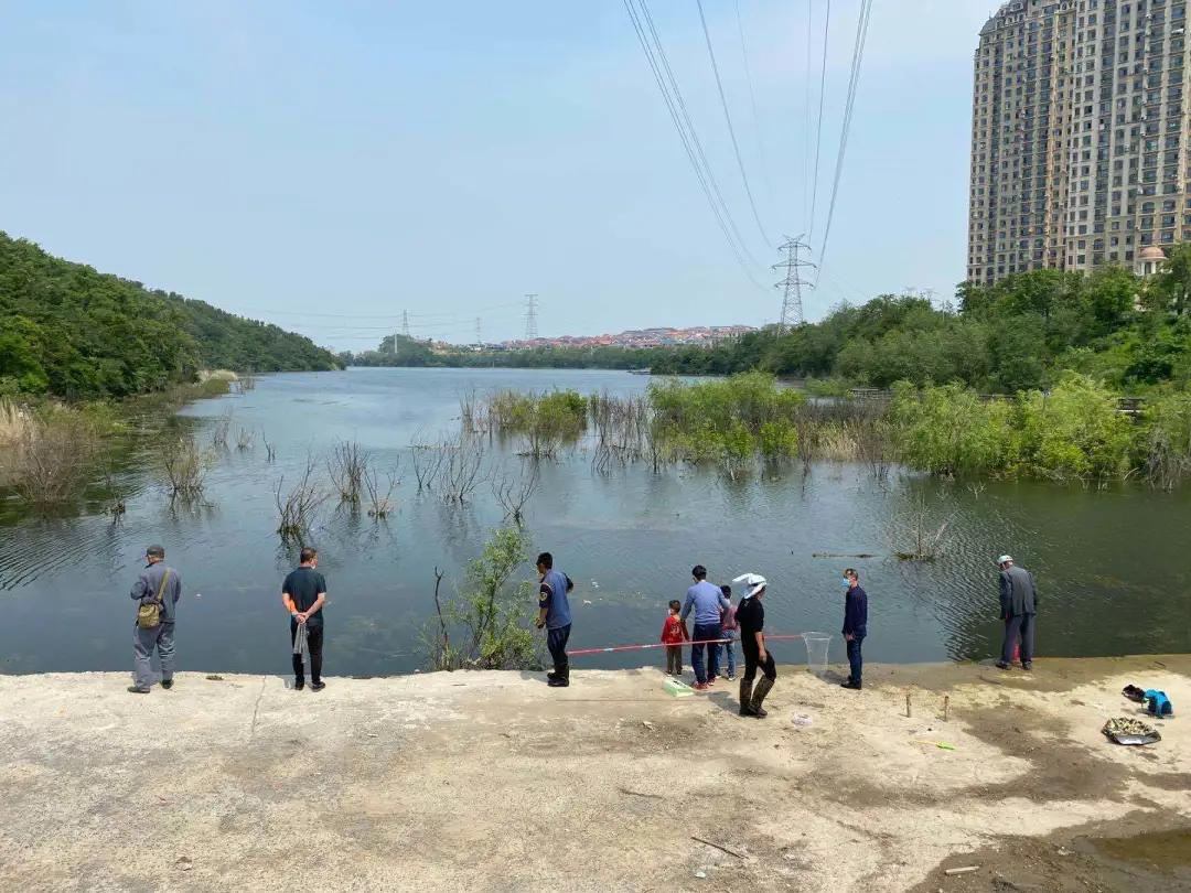 大连一艘渔船捕获的怪鱼,大连杏树屯一条渔船捕捞一条怪鱼