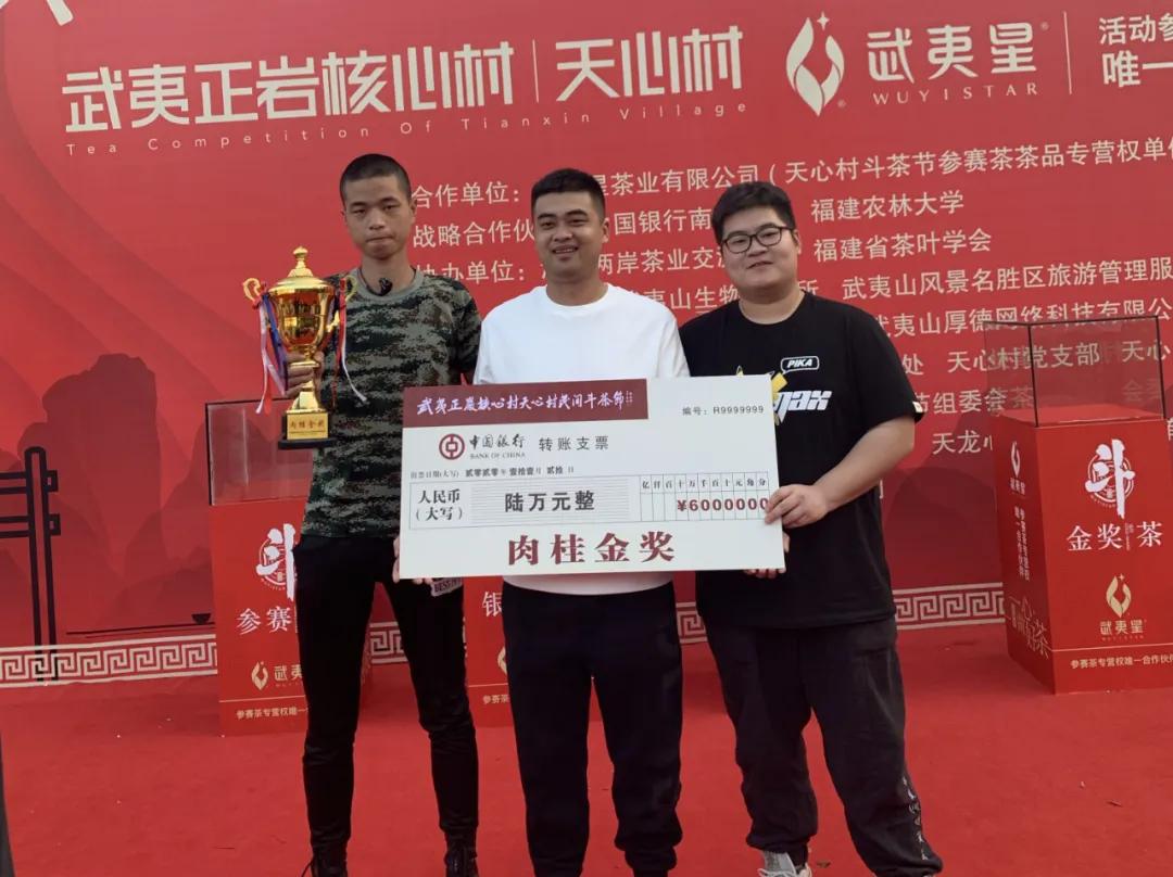 斗茶节白茶仙子,小狮王辛巴出世