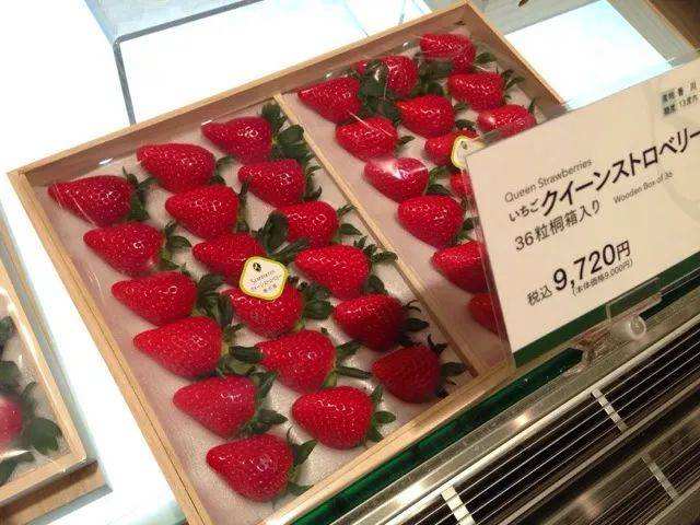 探析日本农业：从8个方面的比较分析，看中日农业差异（上篇）