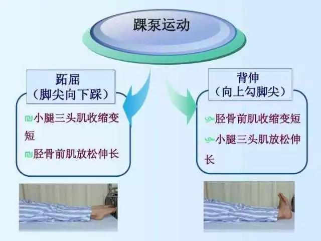 下肢骨折多长时间能消除肿胀,骨折手术后为什么脚垂下去会肿胀
