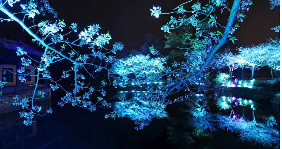 记录广州从化赏李花的美好时光,2022从化李花赏花期到几号最佳