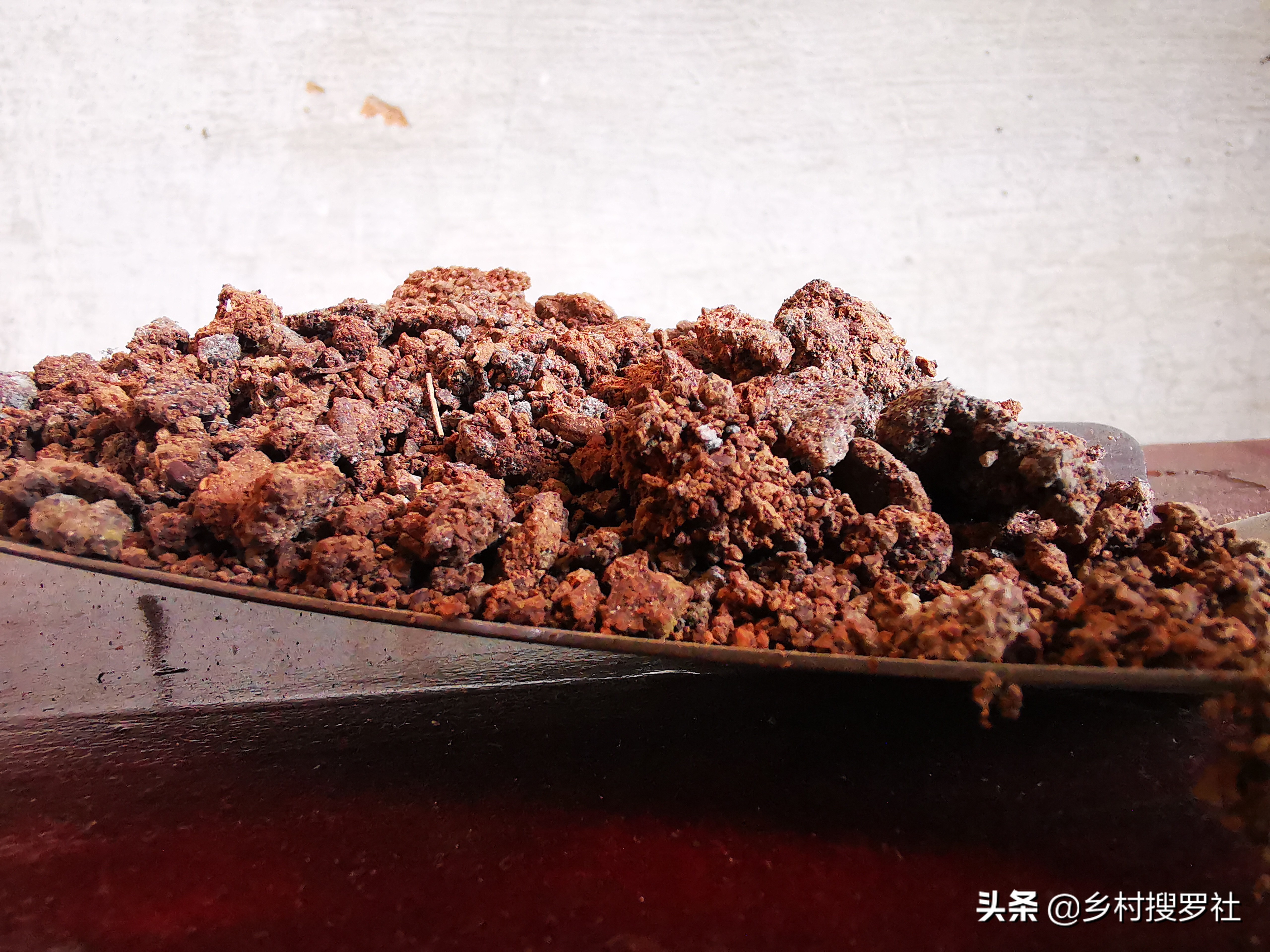 兰花施肥用什么肥料,兰花怎么施肥用什么肥料