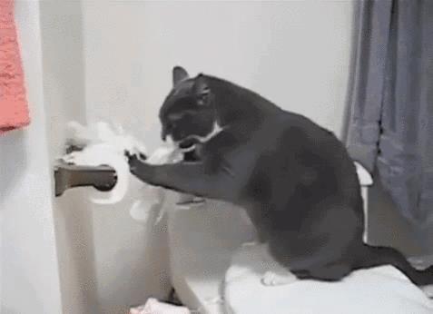 为什么女生尿尿需要纸巾擦,而男生不用?不能学男生抖抖吗?