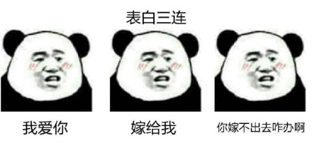 熊猫头表情包艾特男朋友,熊猫头表白表情包动态图片大全
