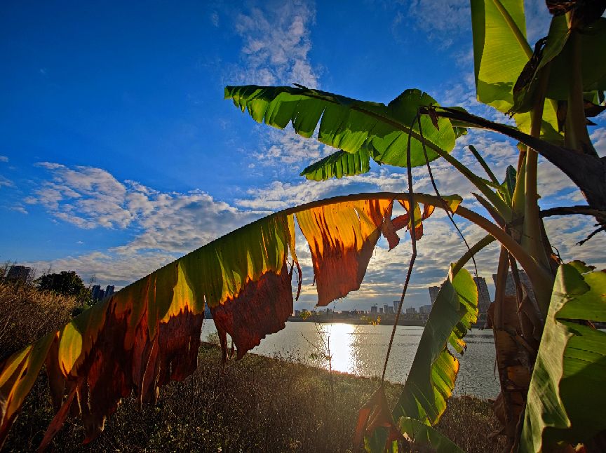 一个摄影爱好者的所有器材,摄影器材的终极之路