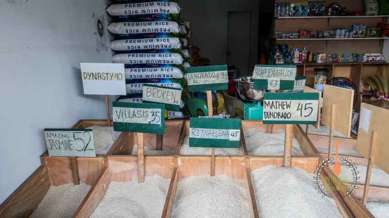 带你看看菲律宾的菜摊,老百姓都吃些啥,这个物价百姓要怎么过呀