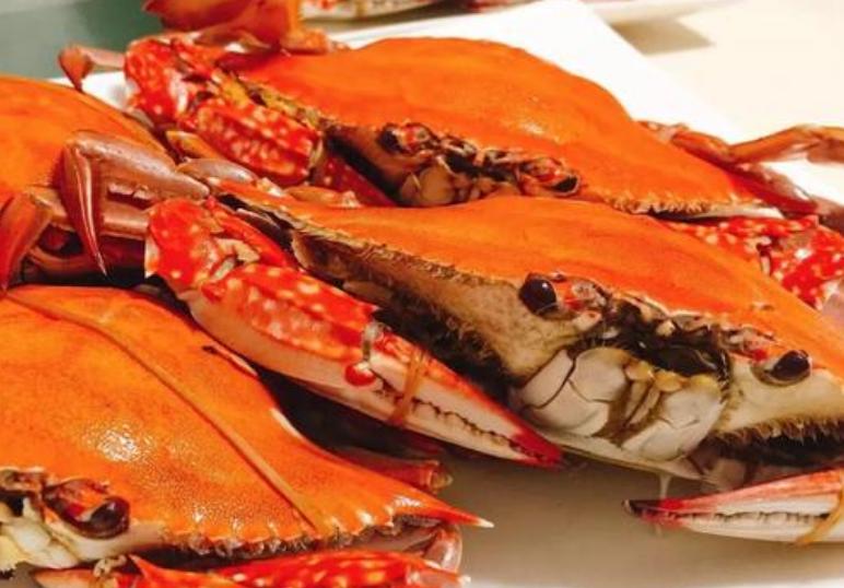 浙江舟山特色美食图片,浙江舟山特色美食是什么