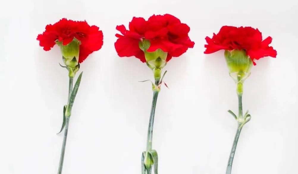 10句惊艳岁月的诗词,十首岁月静好的诗句