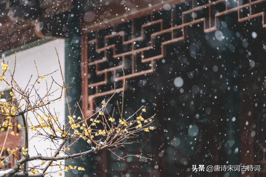 初冬下雪诗意,诗意雪天