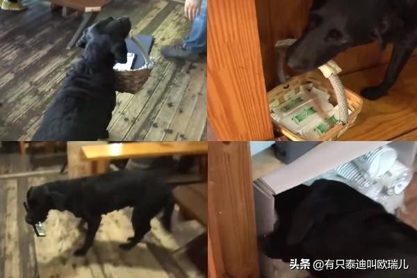 烧烤店迎客递菜单打扫好辛苦？黑拉拉：让专业的来！