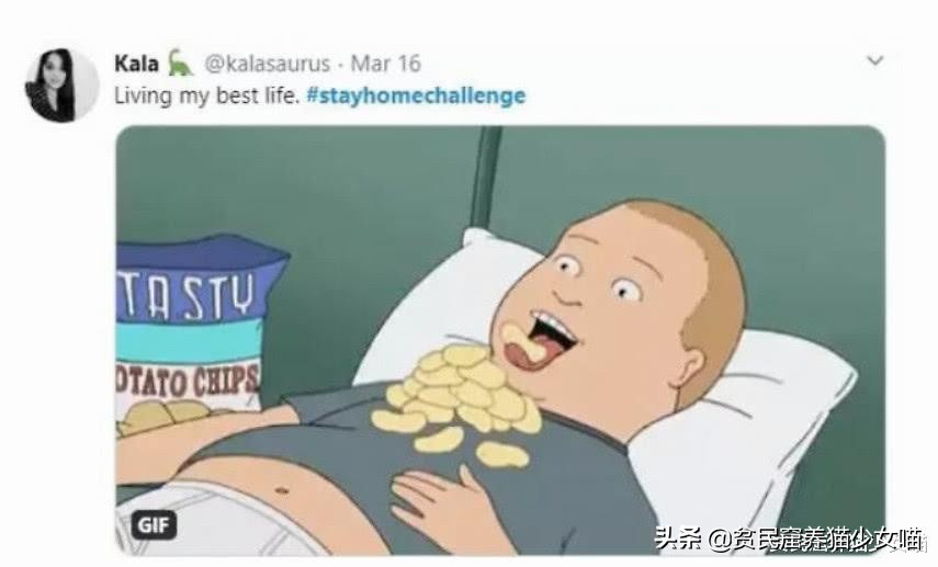 猫咪vs巨型蜘蛛,猫咪vs恶猫