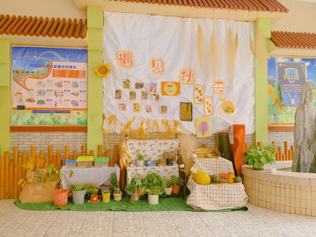 最美的风景美丽的校园,最美的风景就是校园