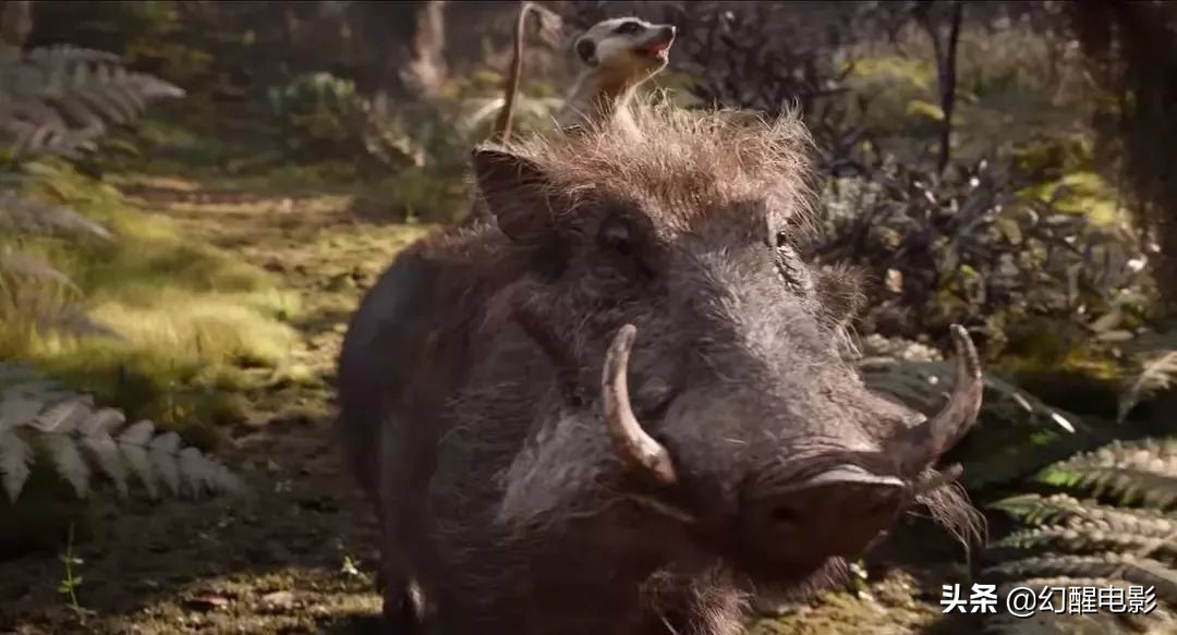 “这简直是草原上的灾难片，有人烧2.5亿拍出来毁一代人的童年”