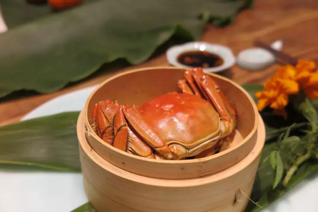 米舍X生物工场，寻找野蛮生长的你