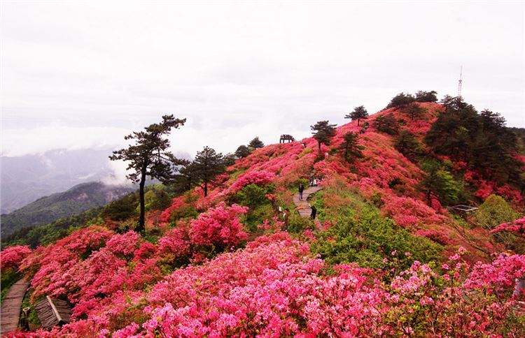 黄岛融海公馆备案价,黄岛2024新楼盘交房表