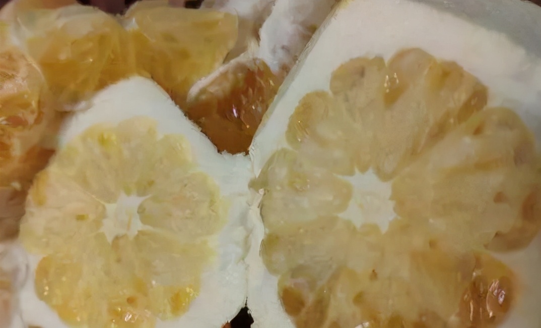 柑橘果肉干结无汁是什么原因,柑橘水分足不甜是什么原因