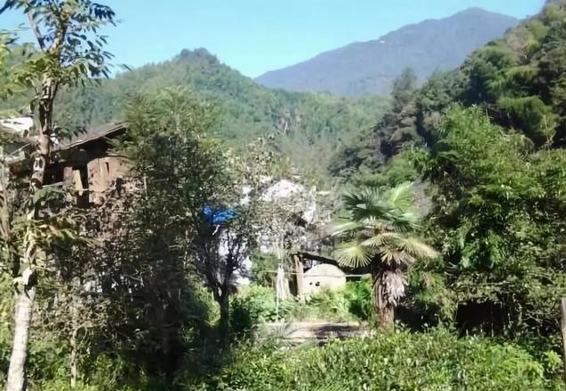 男人一辈子能遇到一个好女人,遇上一个好丈母娘就有福气