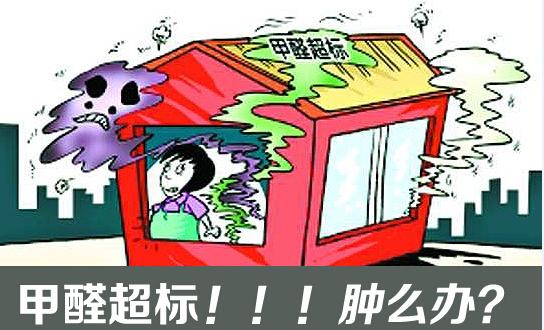 千年舟进口澳松板比较实惠,千年舟奥松板有精板吗