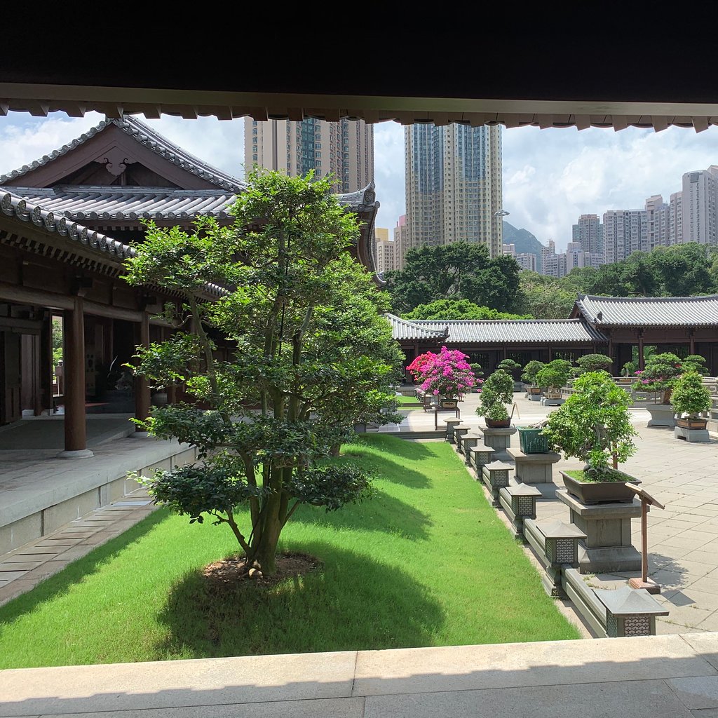 香港志莲净苑地图,香港志莲净苑好玩吗