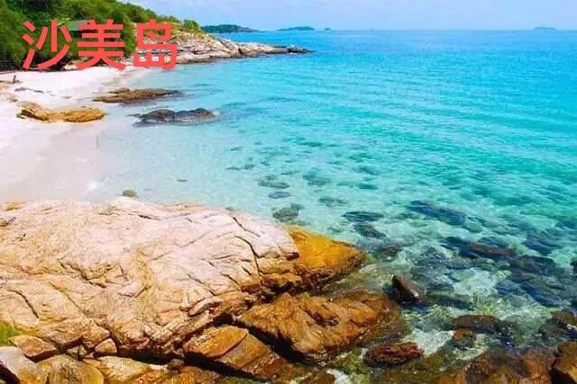 你知道泰国明星金渐层吗,你了解泰国吗