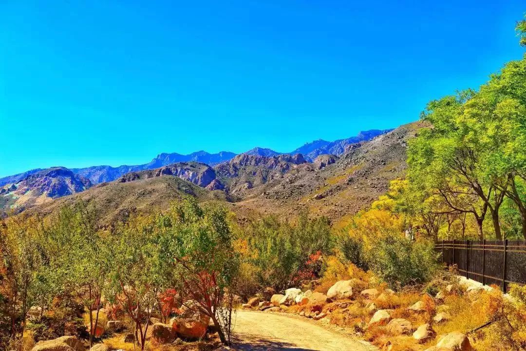 宁夏最低调城市,宁夏是一个非常美丽的地方