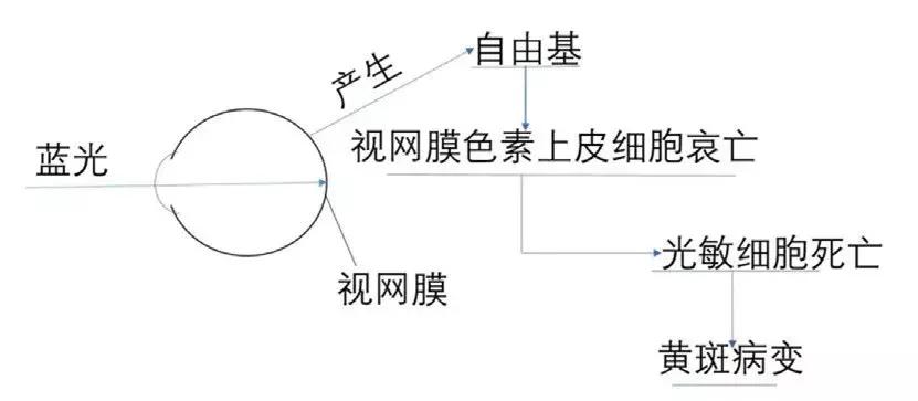【提醒】LED灯可诱发失明?关于蓝光危害,这些人务必当心!