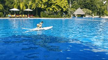 三亚clubmed度假村全包多少钱,三亚clubmed度假村团购3晚