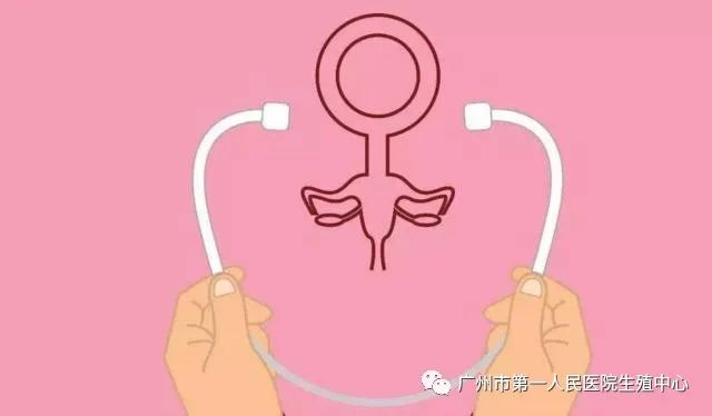 反复流产需要查输卵管造影吗,反复宫腔粘连还要继续宫腔镜吗