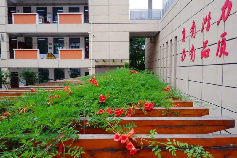 南京教育集团有哪些校,南京一中教育集团