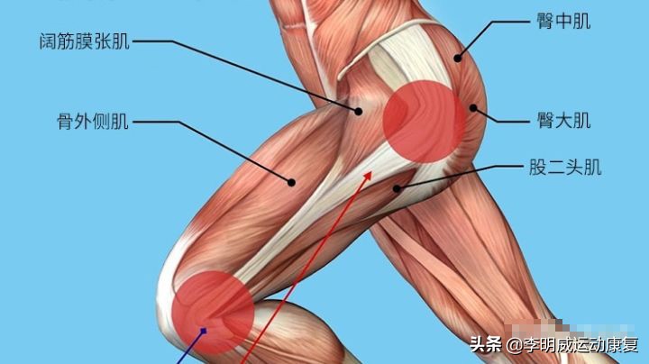 膝盖外侧疼痛活动不疼休息时疼,膝盖外侧髂胫束疼痛怎么办