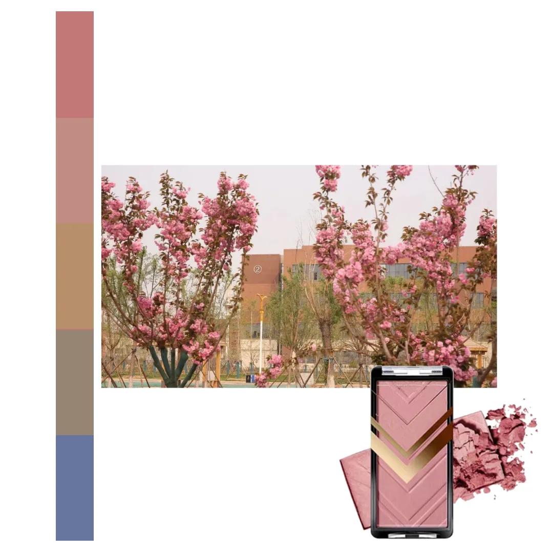 鐩存挱閭兏娌冲寳宸ョ▼澶у,娌冲寳宸ョ▼澶у缇庡