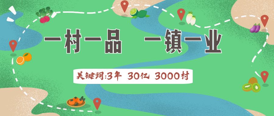 3年30亿扶持3000村!广东“一村一品、一镇一业”今年起这么干!