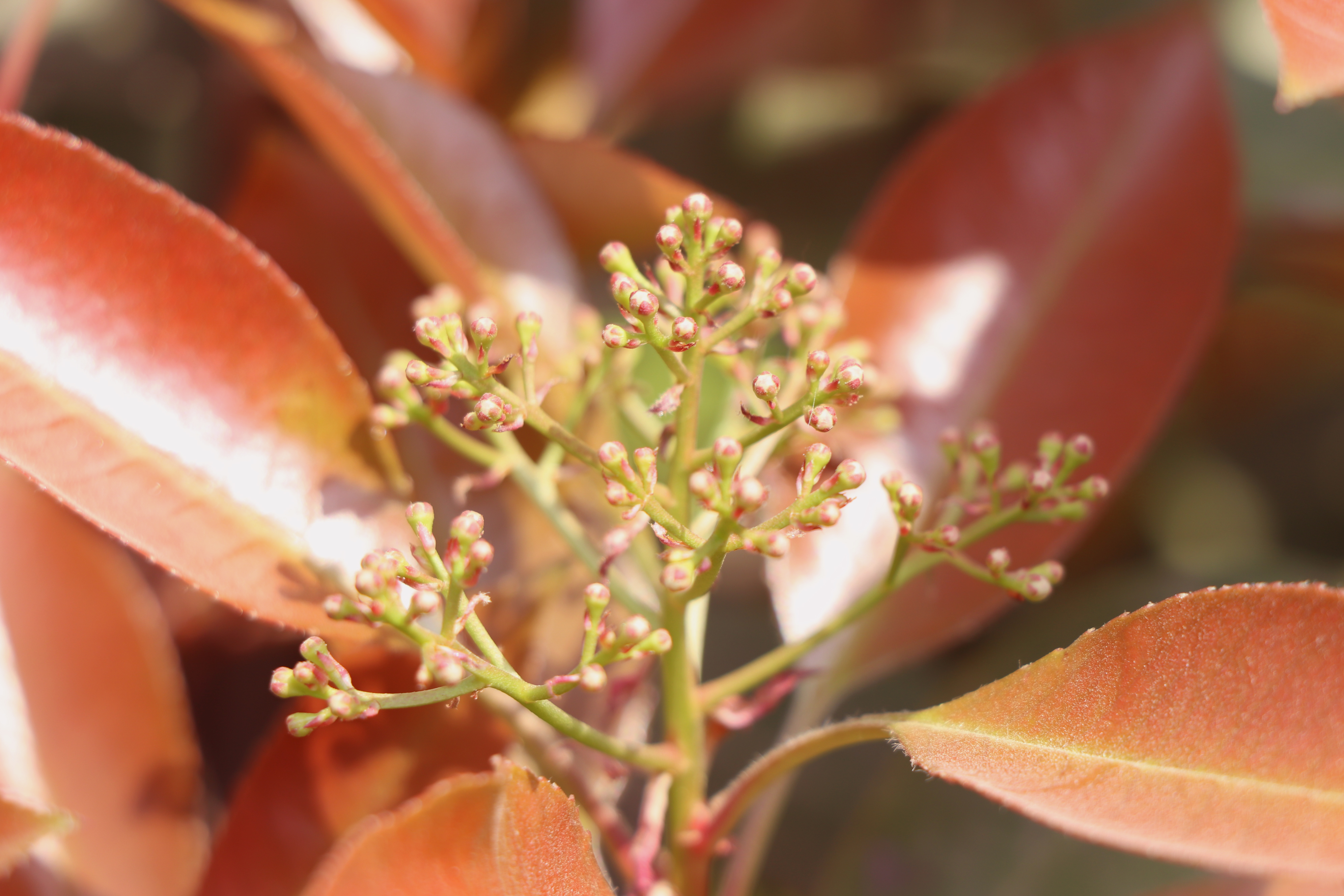 一起涨姿势|为什么女生的*裤内**闻起来…臭臭的？