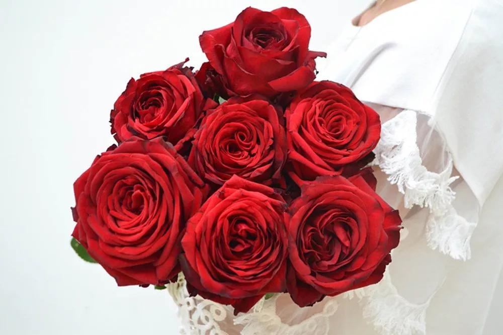 花店常用玫瑰花品种大全,一篇文章带你认识三亚40种花