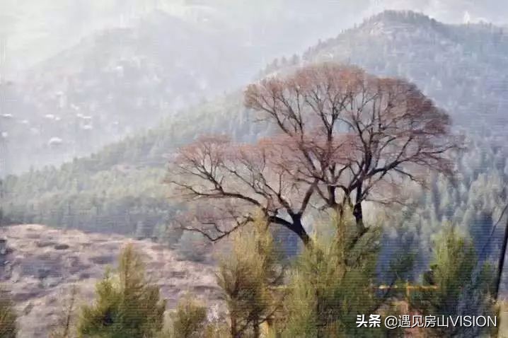 人间四月芳菲天,最美春天在房山——蒲洼行记