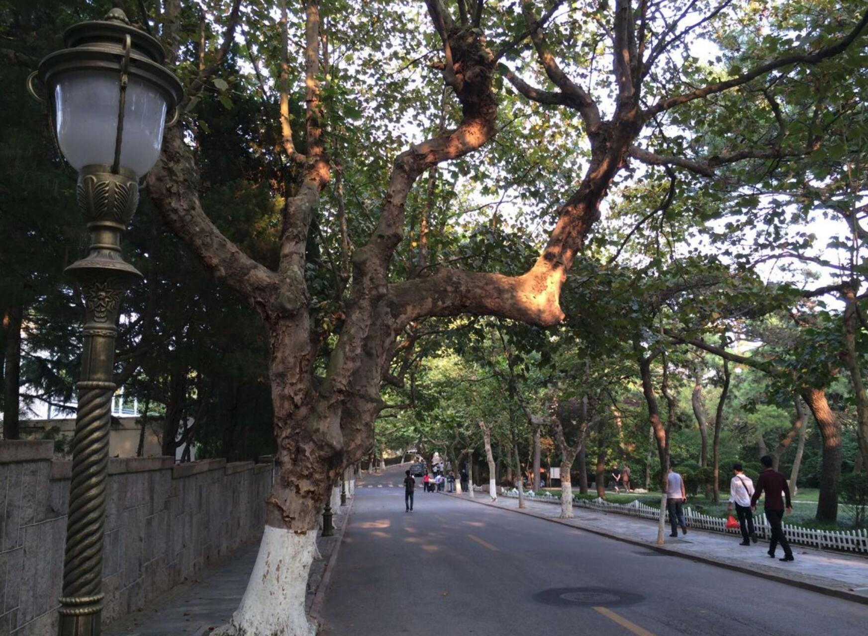我国最大沙滩金沙滩，啤酒爱好者的聚集地，让人向往的海边城市