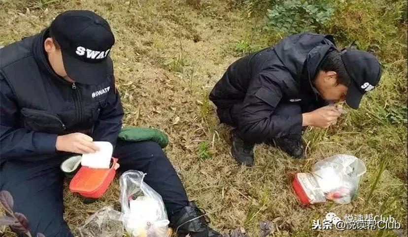 山区赛车拉力赛,山区汽车拉力赛