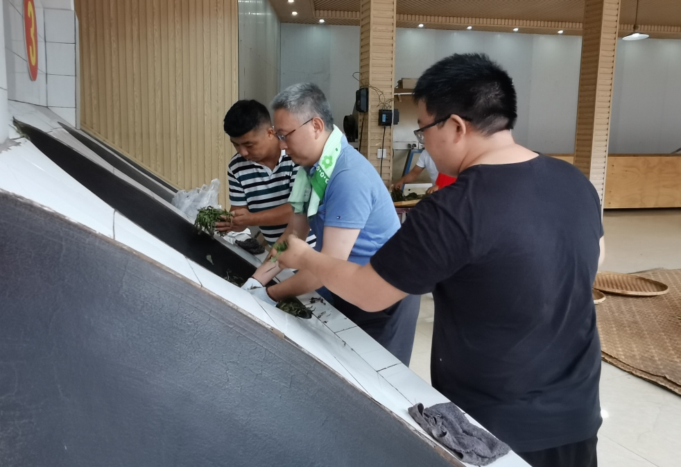 浜戝崡涓尪鑼朵笟鏈夐檺鍏徃鏂伴椈,浜戝崡涓尪鑼朵笟鏈夐檺鍏徃鐢熶骇鍩哄湴