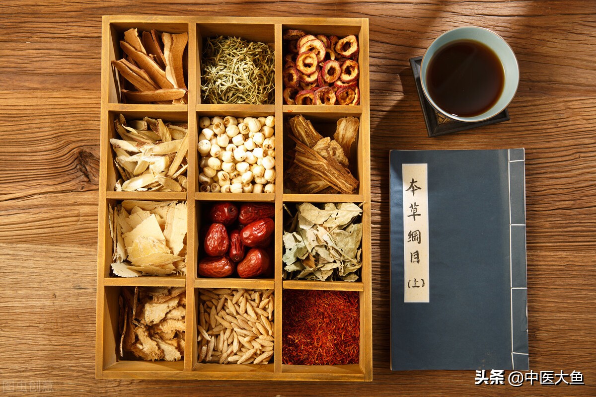 张廷模讲清热凉血药概述,张廷模中药学39讲视频