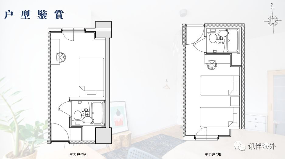 去日本必买的十款零食,日本旅游必备零食清单