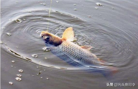 抛竿线组和主线的搭配,抛竿主线怎样连接串钩主线