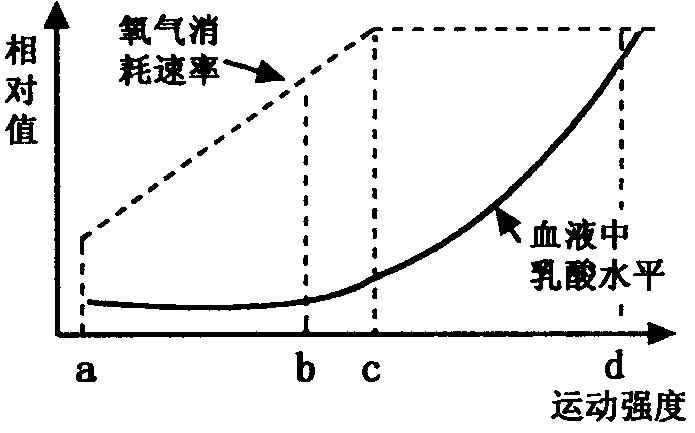 怎样拉伸才是正确的,千万别乱拉伸这样拉伸才最有效