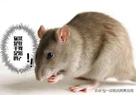 农村生活有几个人能懂,农村你了解多少