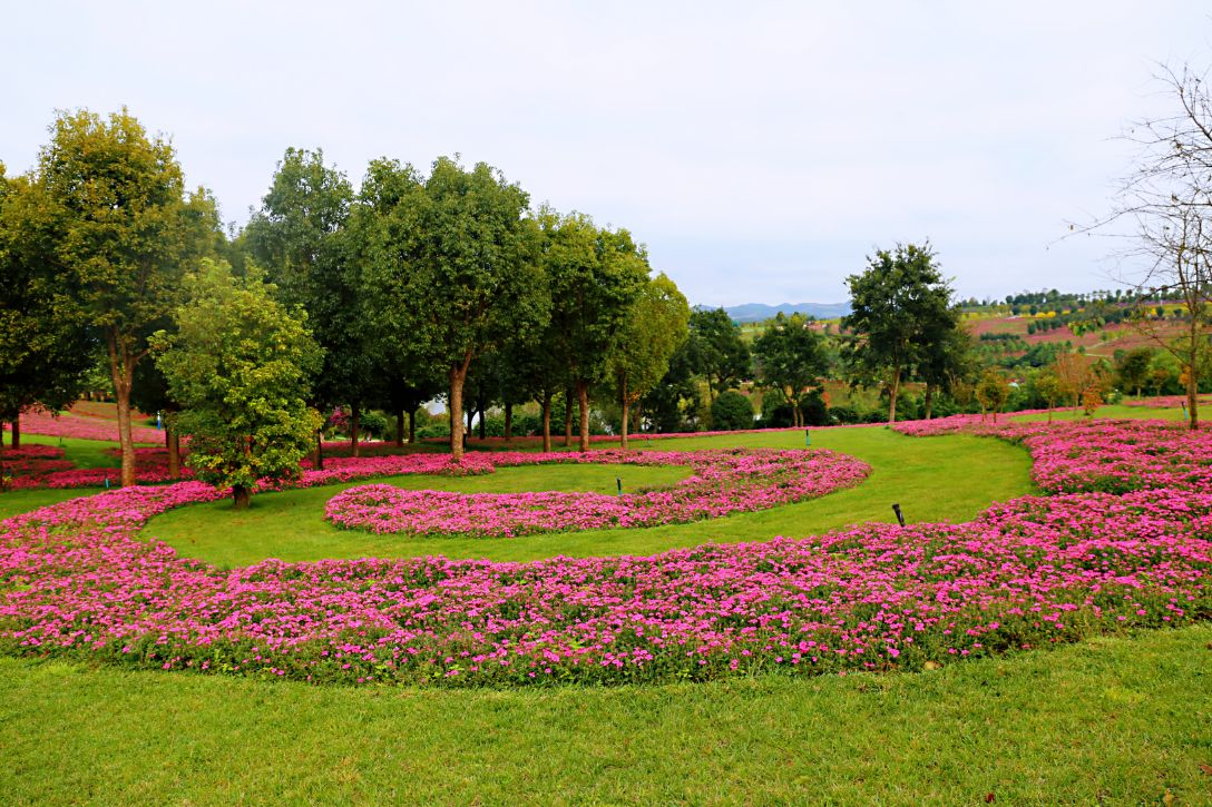 弥勒太平湖森林木屋酒店团购直播,弥勒太平湖森林木屋酒店有温泉