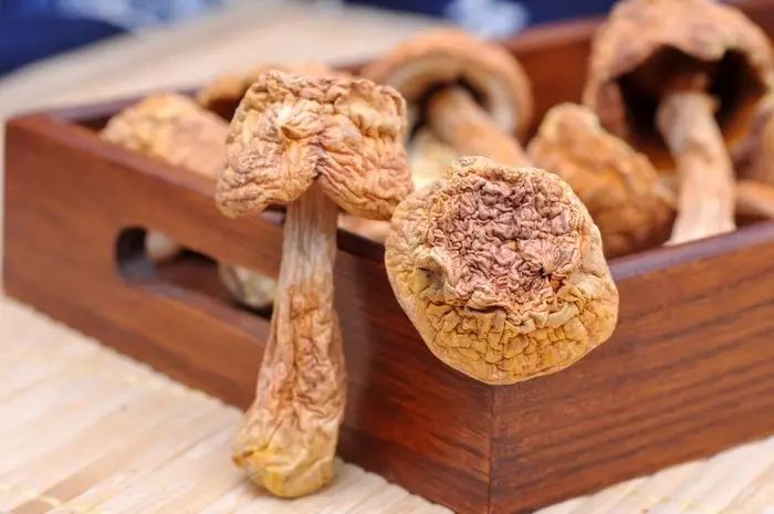 菌子为什么中毒,菌子中毒到底啥样