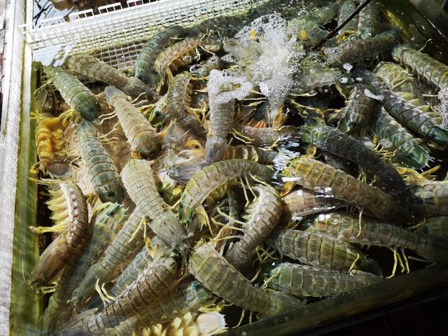 香港最后一片净土避世天堂,香港西贡一日游攻略图