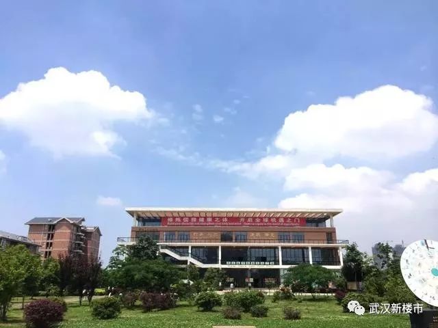 汉街幼儿园是武汉最贵的吗,武汉最贵的幼儿园多少钱啊