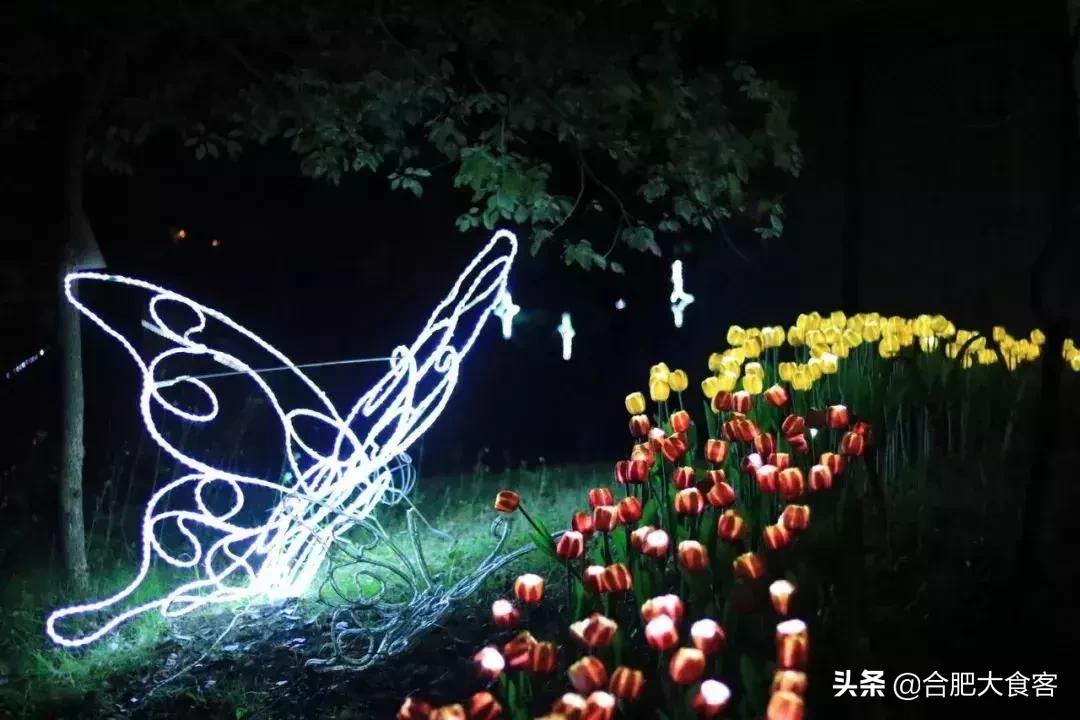 合肥水上乐园省钱攻略,39元就能免费玩的水上乐园