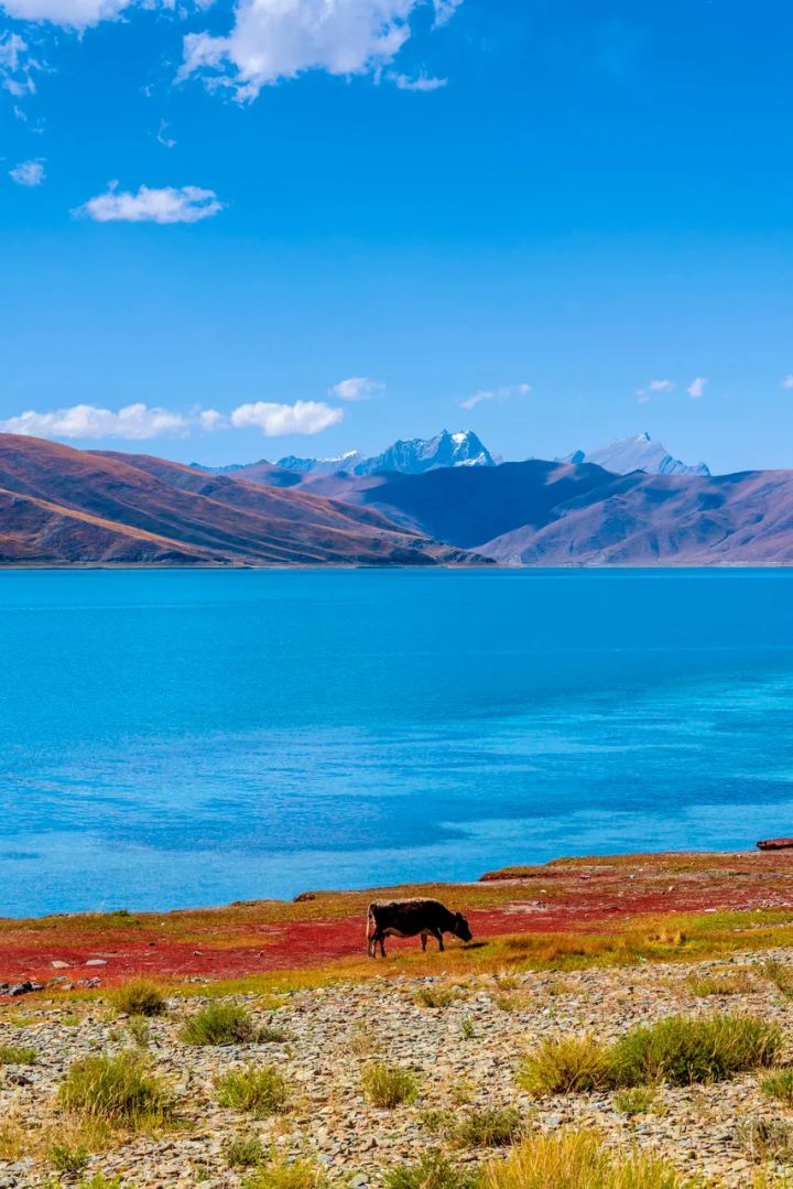 西藏和西北旅游攻略,来藏旅游攻略必看